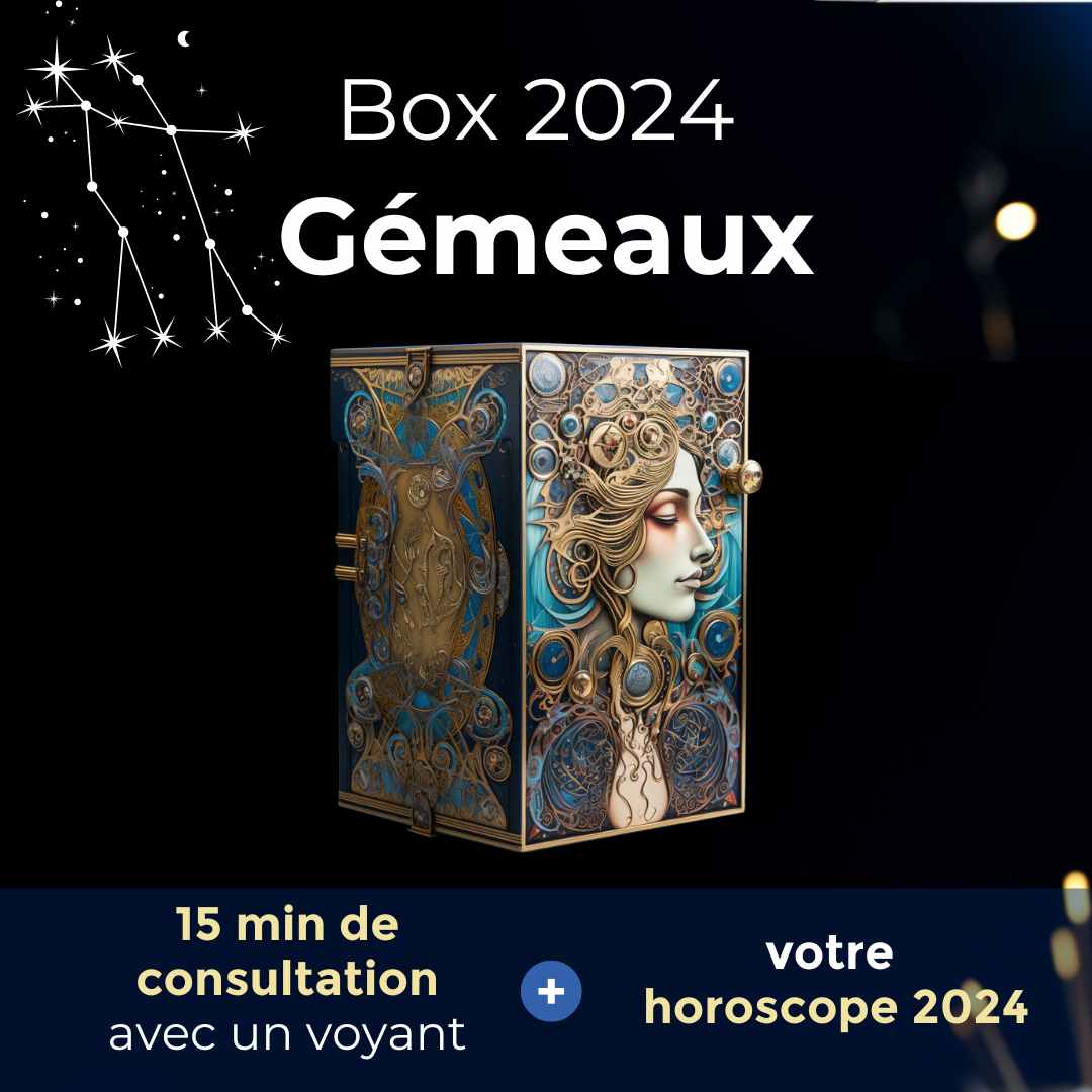 La Box 2024 du Gémeaux Votre horoscope 15 min avec un guide