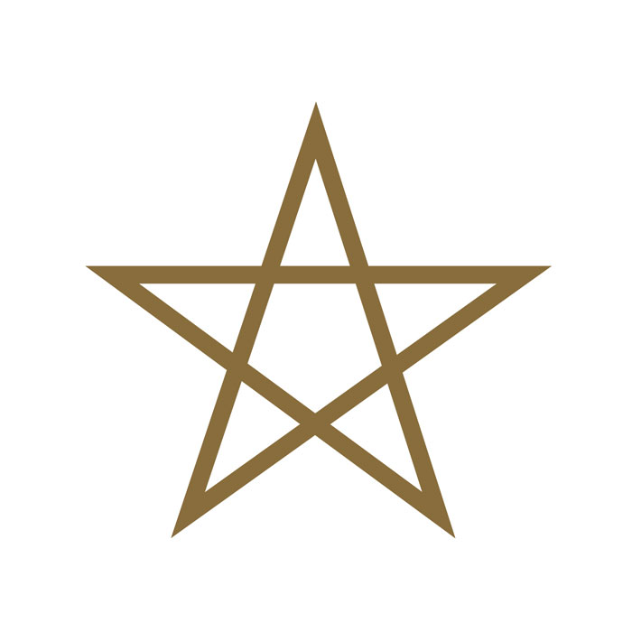 Amulette Pentagramme Collier de Protection Païen - Labradorite