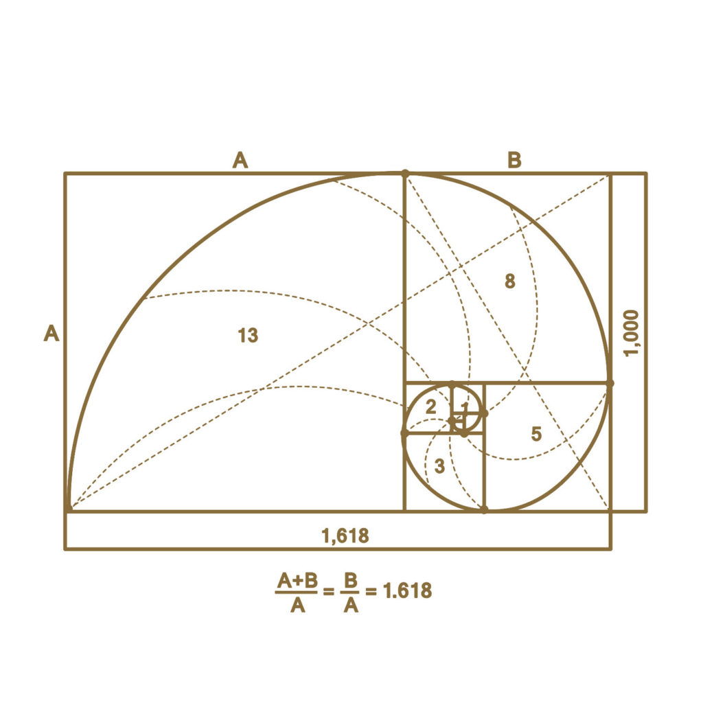 rectangle-d-or-02