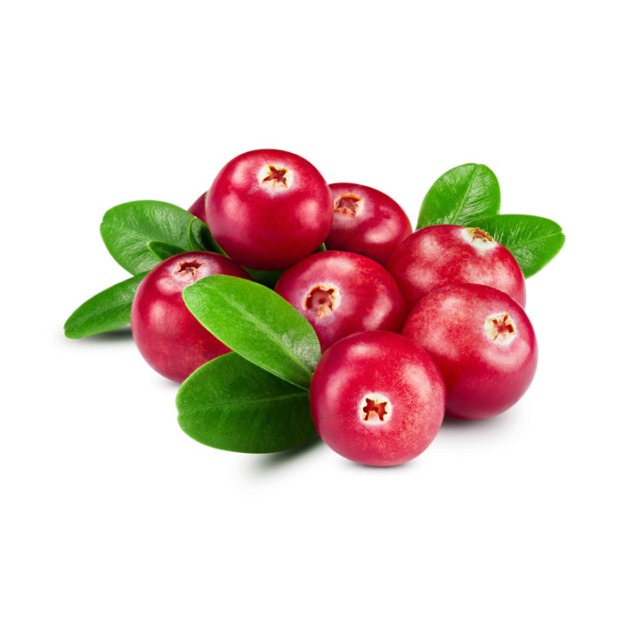 Canneberge à gros fruits, Airelle à gros fruits, Cranberry : planter,  cultiver, récolter