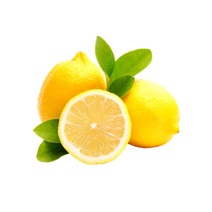 Citron (Citrus limon) des arbres fruitiers Graines -USA-BONSAI