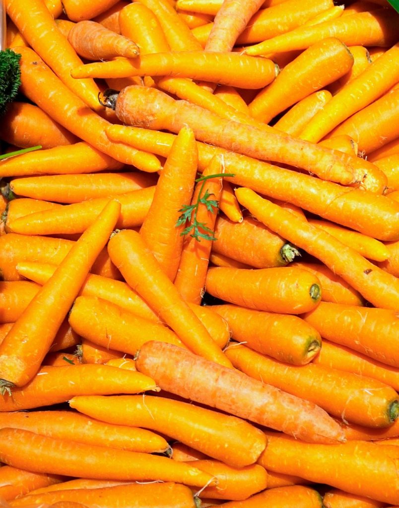 carottes