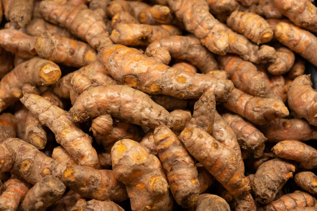 curcuma-caracteristiques