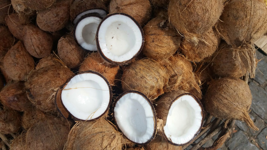 noix-de-coco-phytotherapie