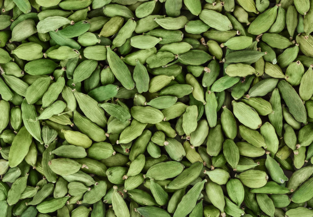 cardamome-phytotherapie