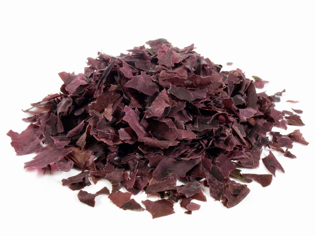 dulse-phytotherapie