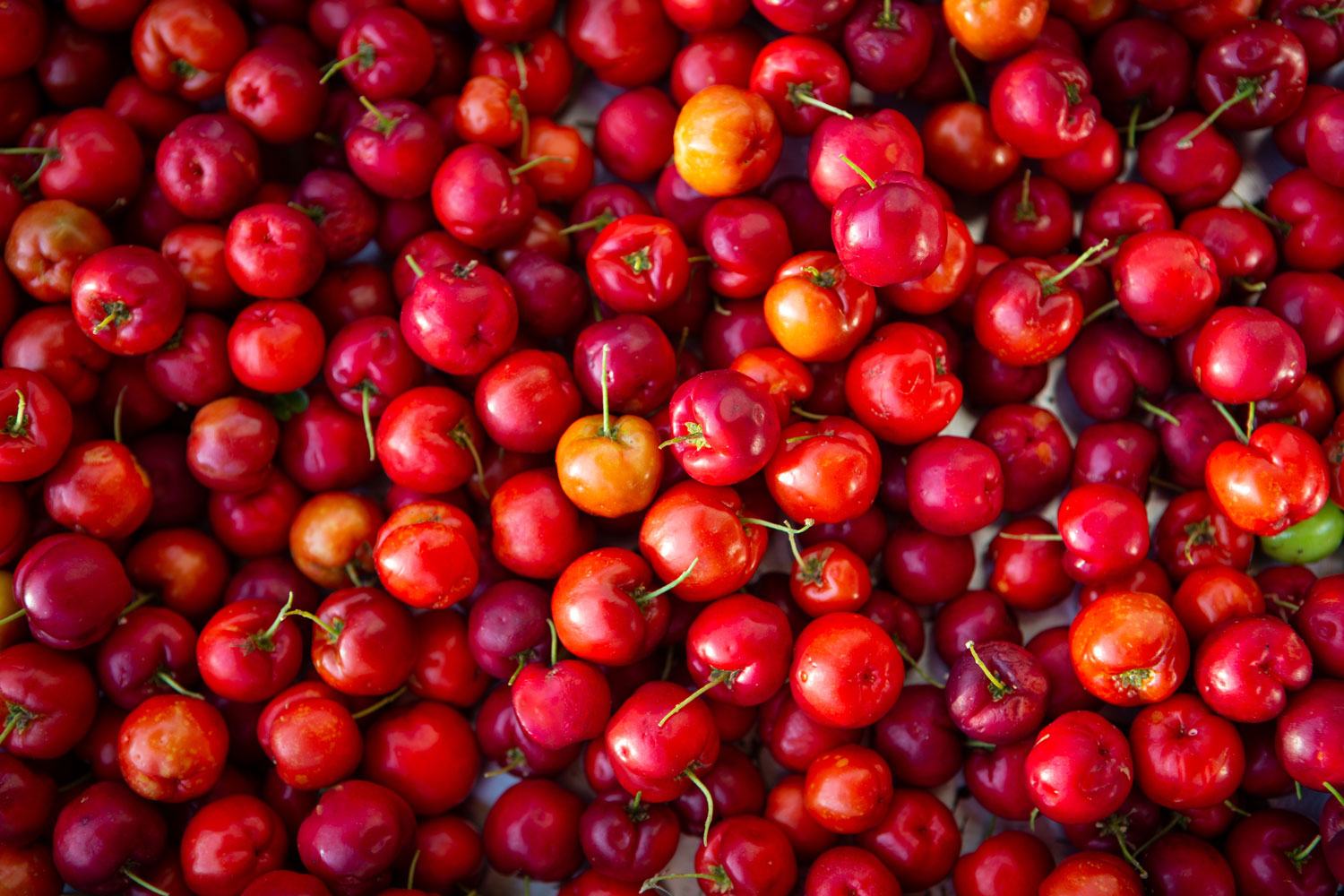 aliment-acerola-aliment