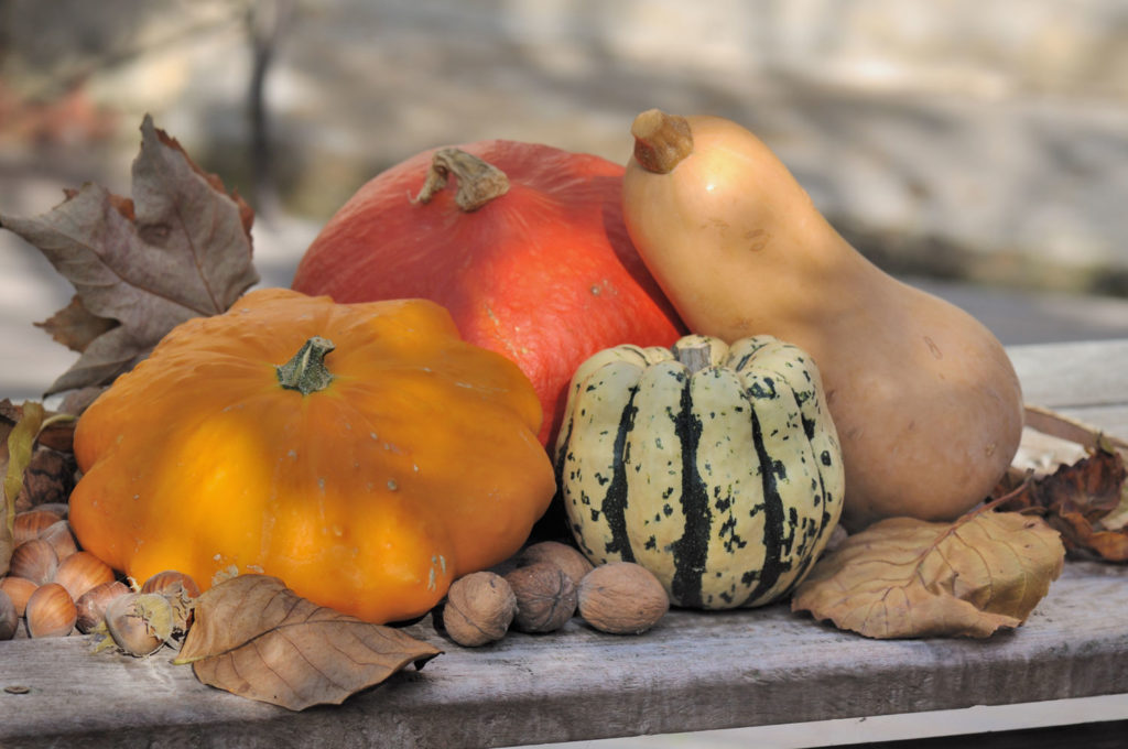 aliment-courge-utilisation