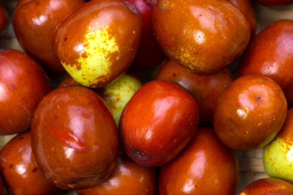 aliment-jujube-aliment