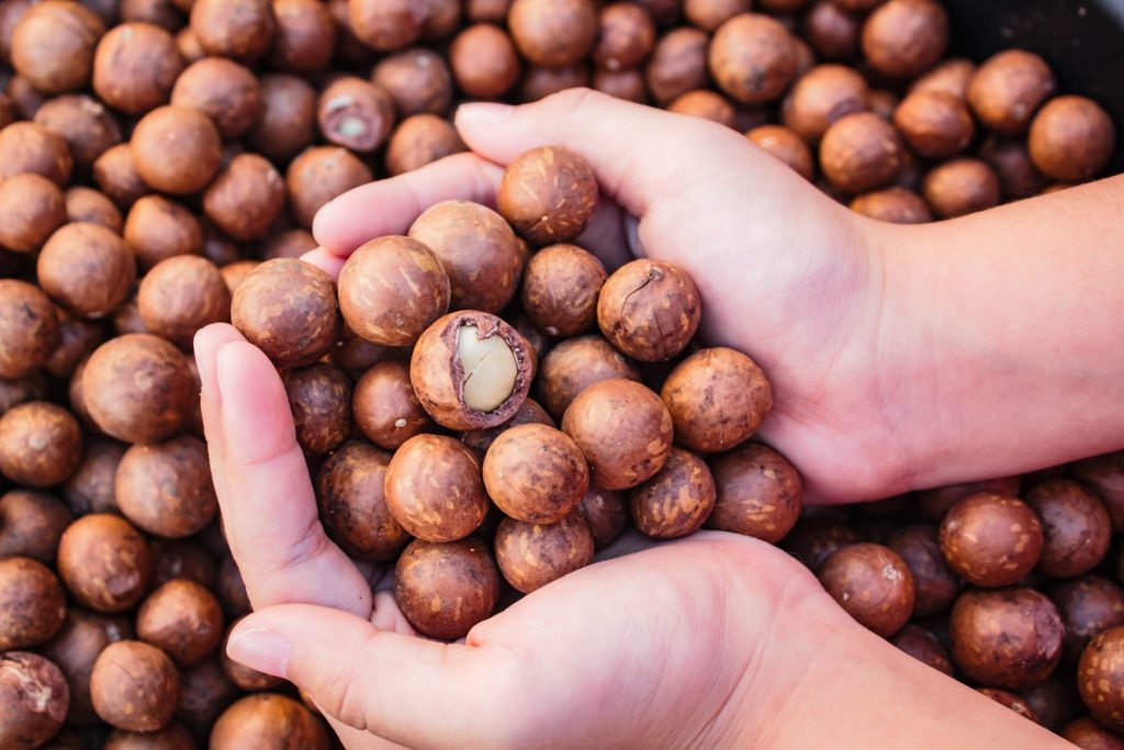 aliment-noix-de-macadamia-utilisation