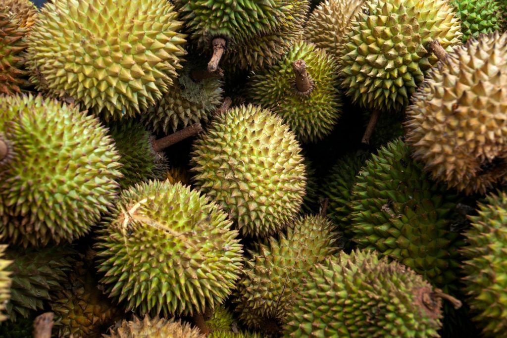 aliment-durian-aliment