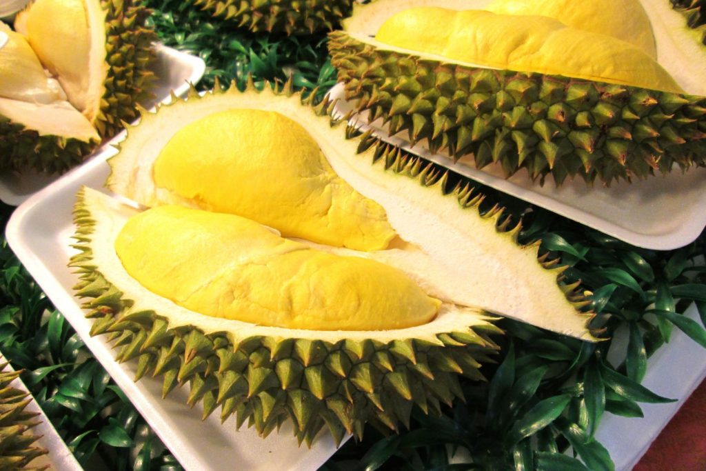 aliment-durian-histoire