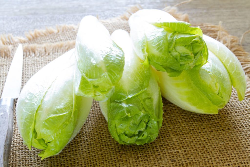 aliment-endive-aliment