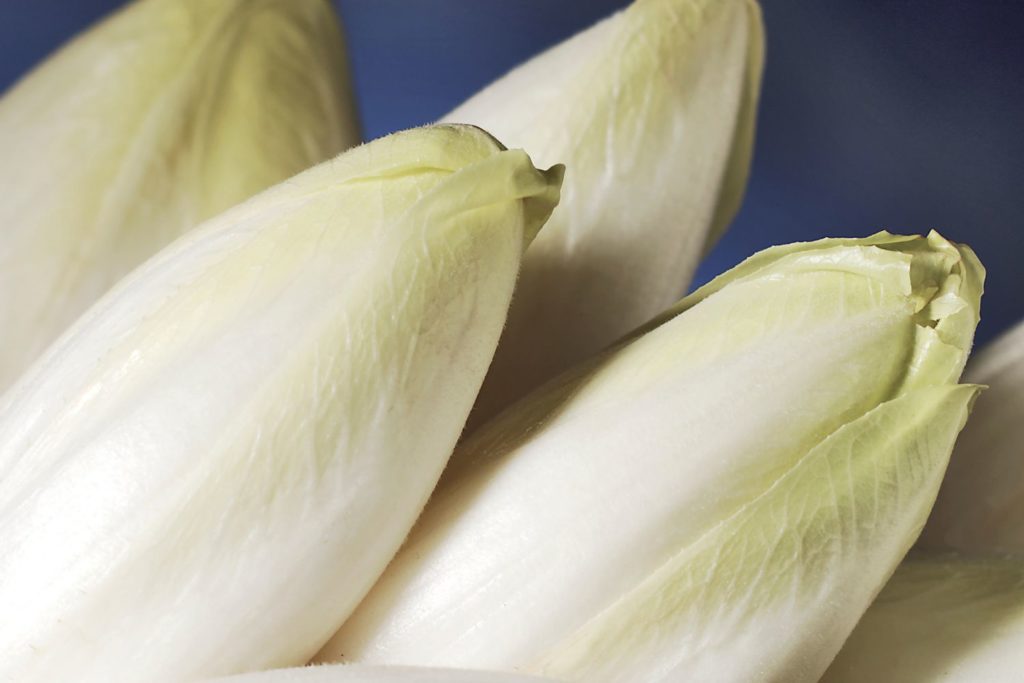 aliment-endive-utilisation