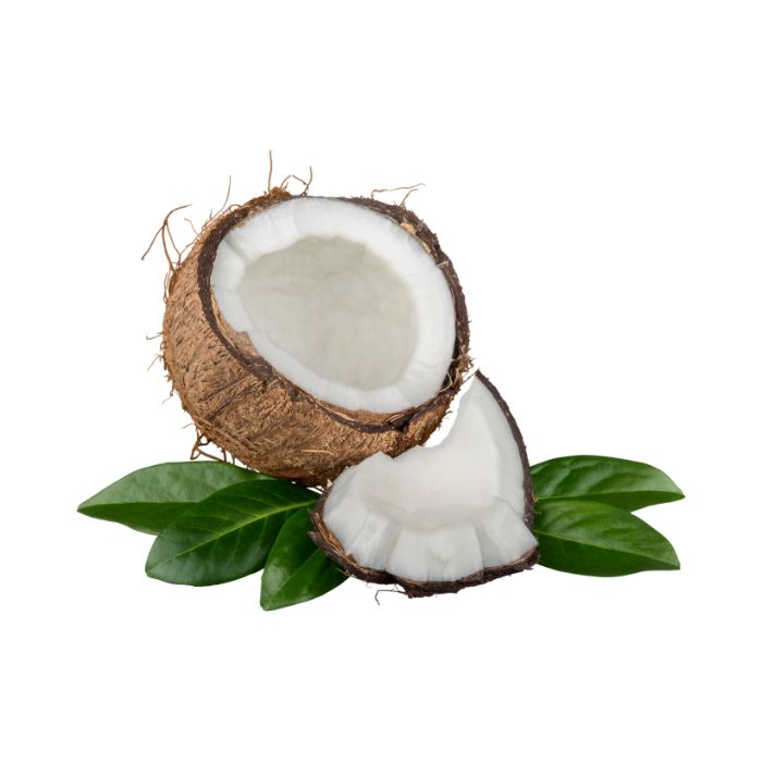 Tout savoir sur la farine de coco