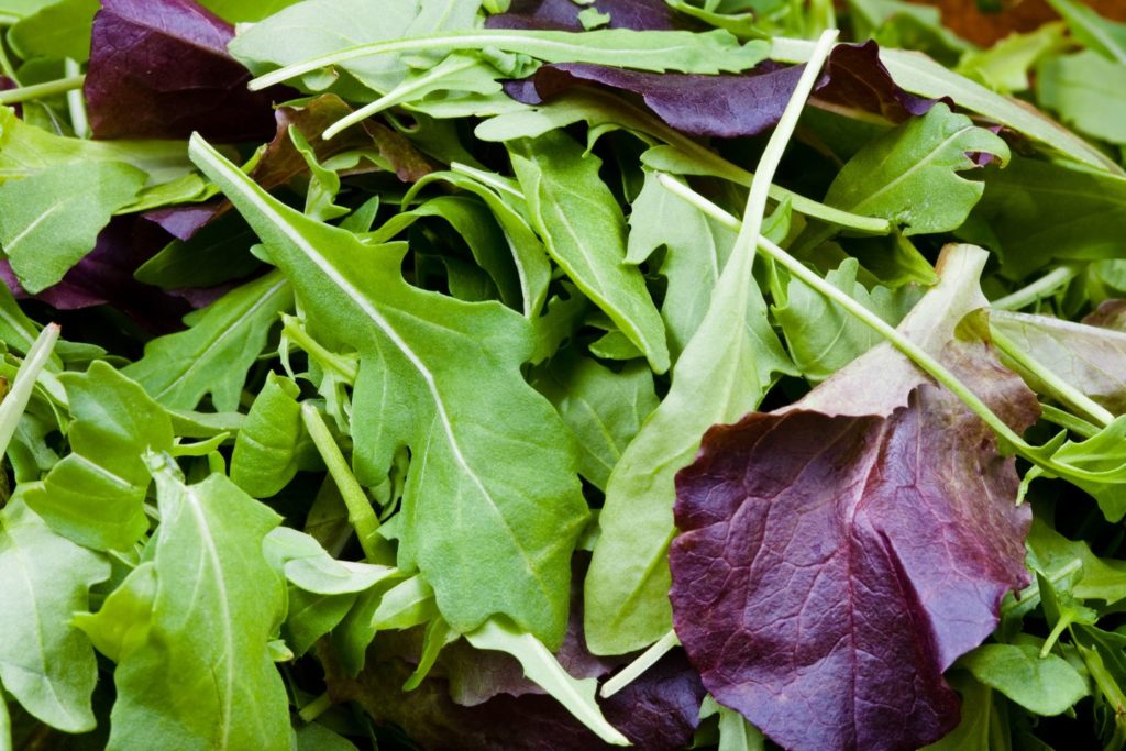 aliment-mesclun-histoire