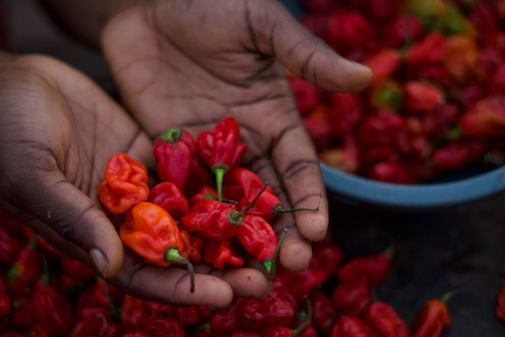 aliment-piment-aliment