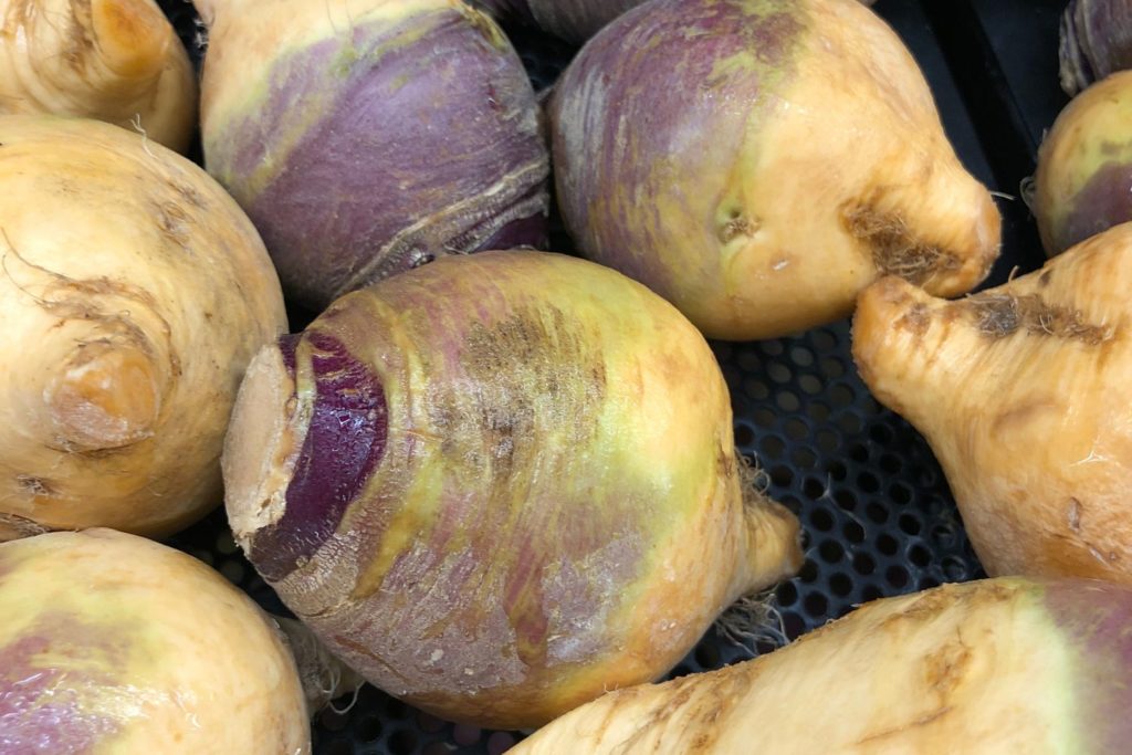 aliment-rutabaga-aliment