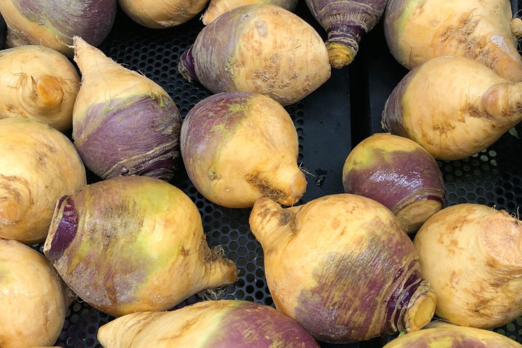 aliment-rutabaga-histoire