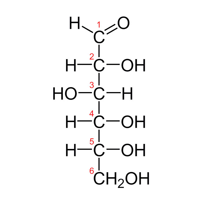 monomeres-de-glucides