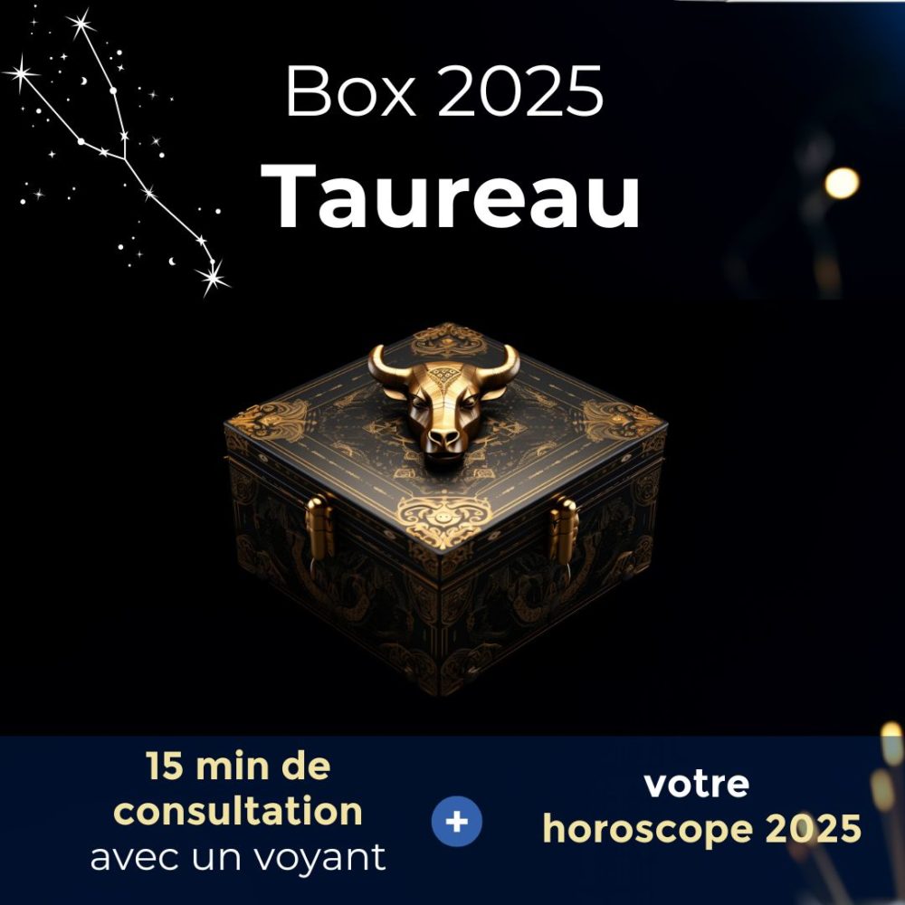 box taureau 2025