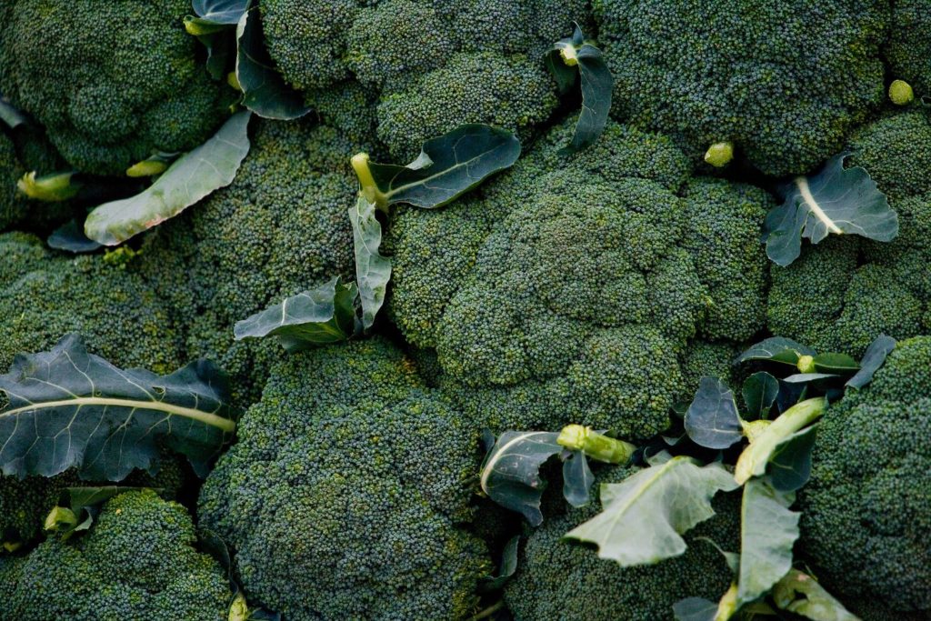 aliment-brocoli-aliment