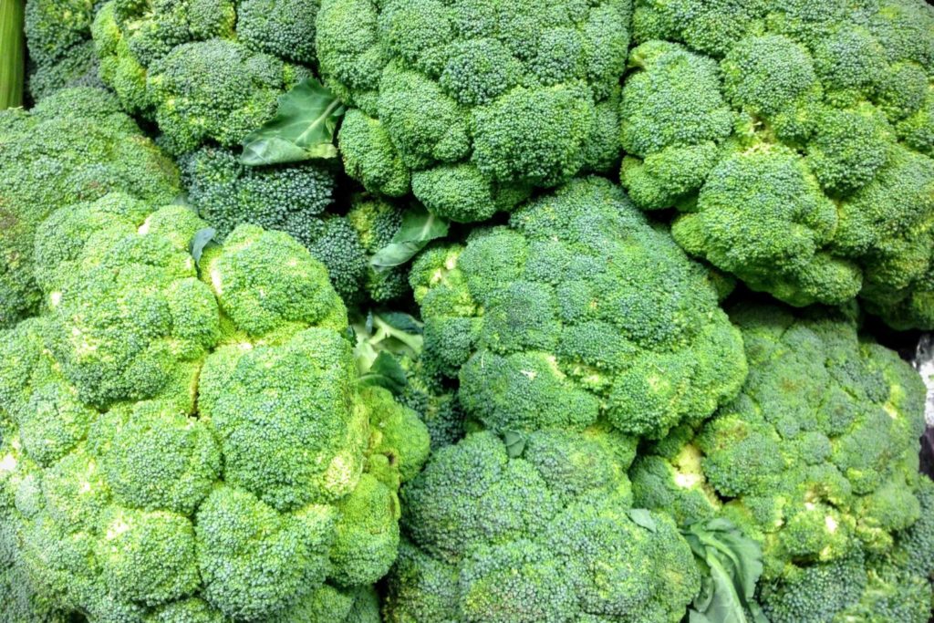 Brocoli - Guide Des Aliments De A à Z - France Minéraux