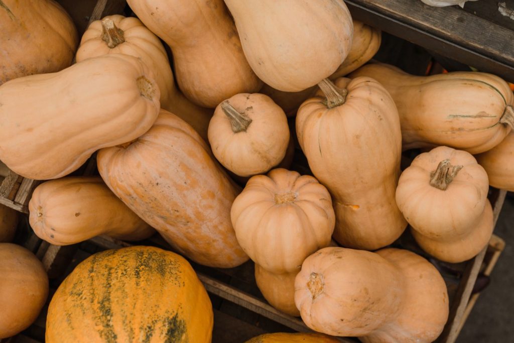 aliment-butternut-utilisation