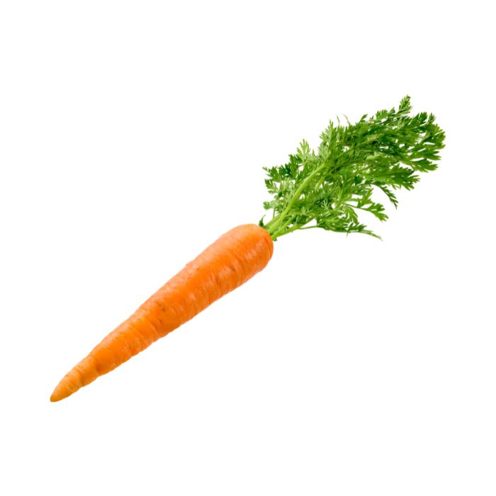 La carotte : bienfaits santé, apports nutritionnels, idées recettes et  temps de cuisson - Doctissimo