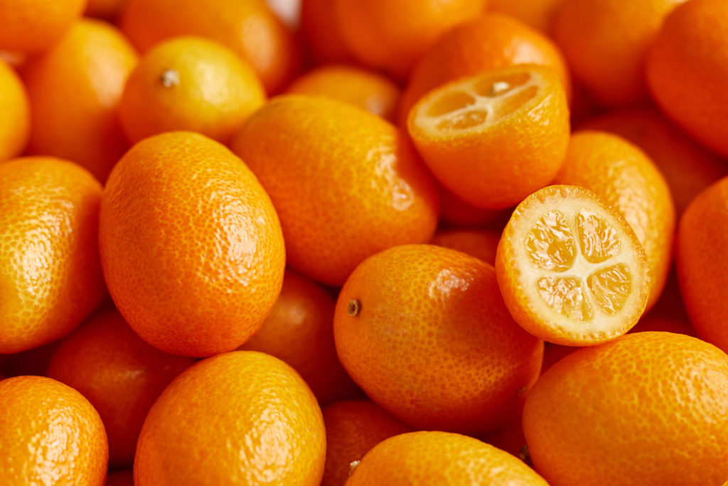 aliment-kumquat-descriptif