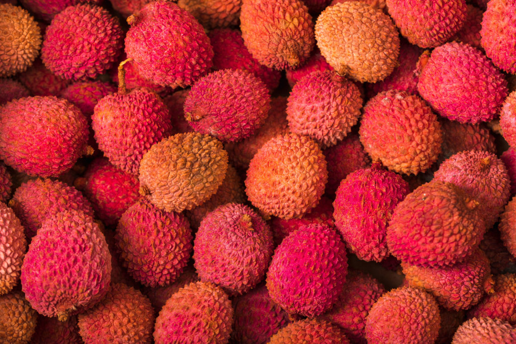 aliment-litchi-histoire