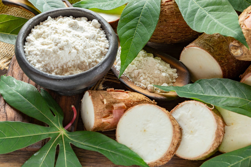 aliment-manioc-utilisation