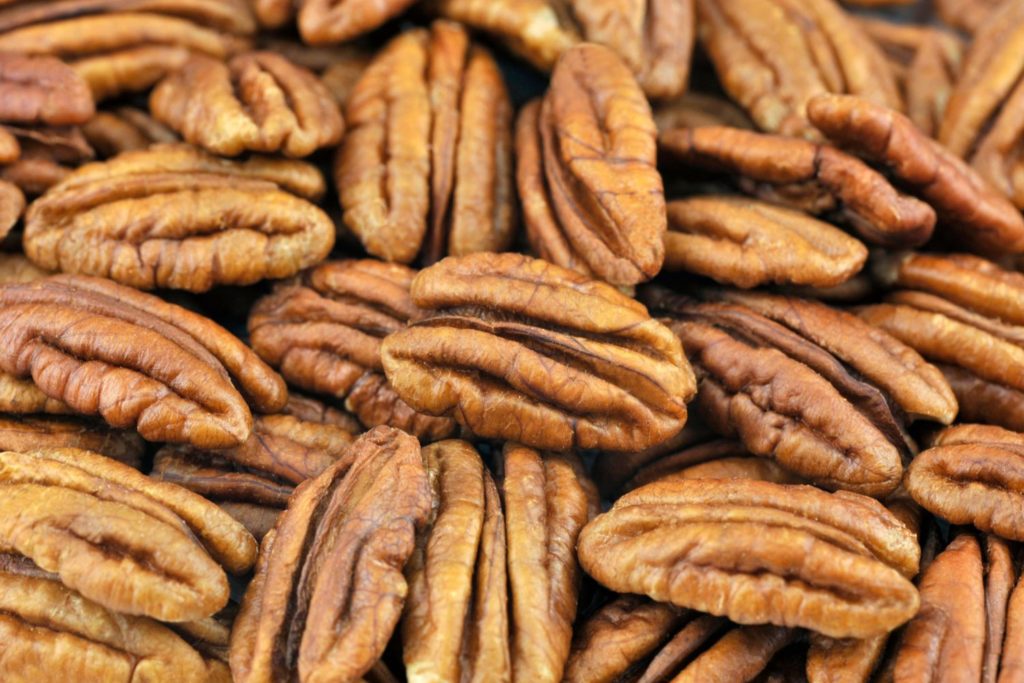 aliment-noix-de-pecan-histoire