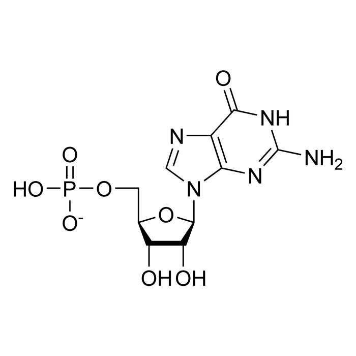 e626-acide-guanylique