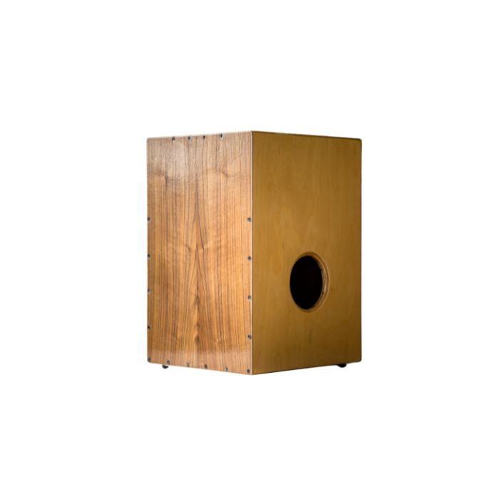 instrument-cajon-electrique