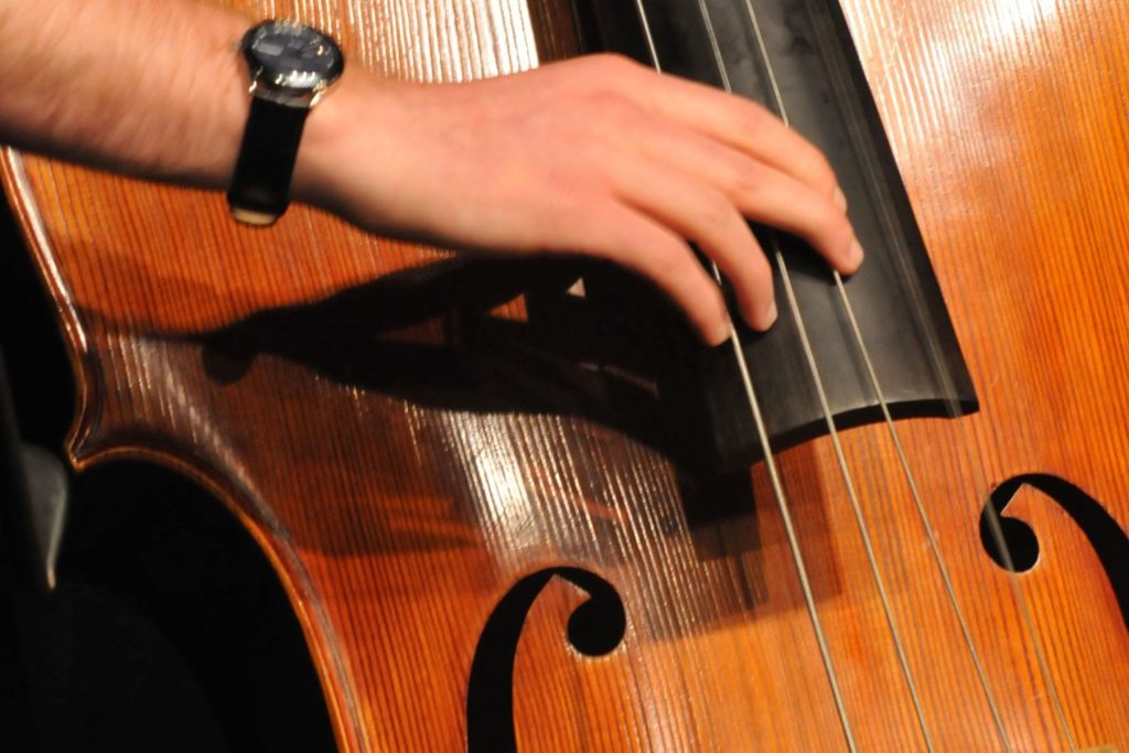 instrument-contrebasse-culture