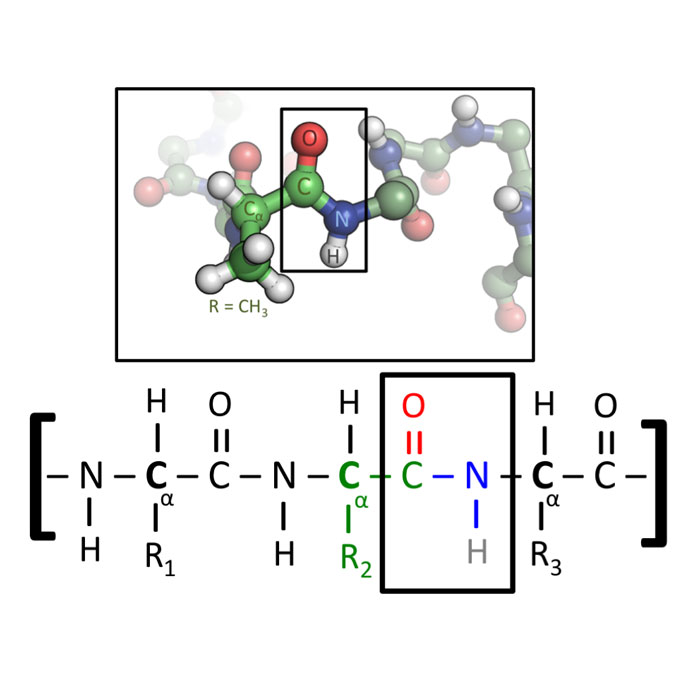 proteines-vegetales