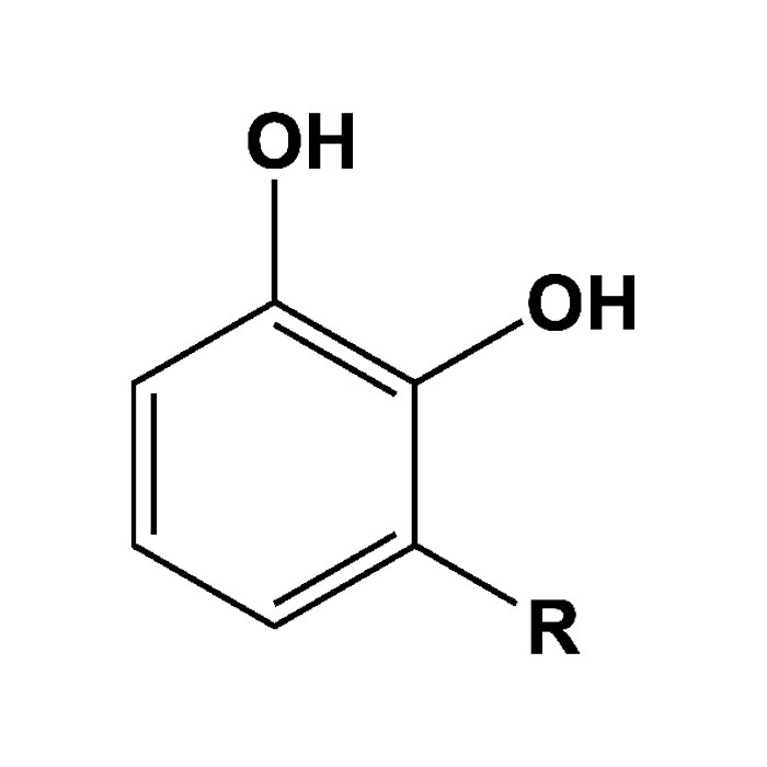 e904-gomme-laque