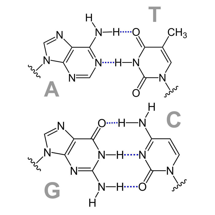 e941-azote