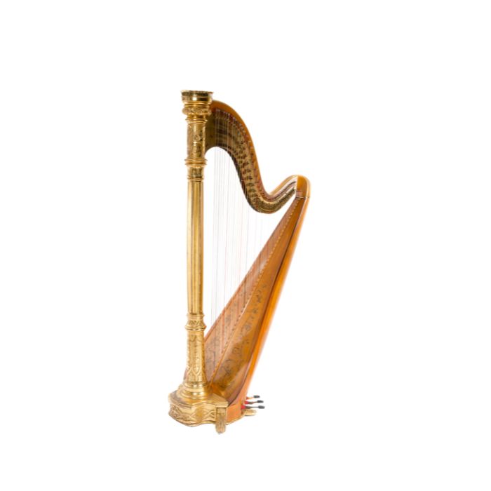 instrument-guitare-harpe