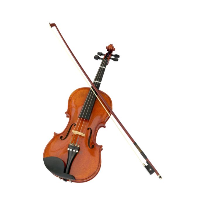 instrument-violone