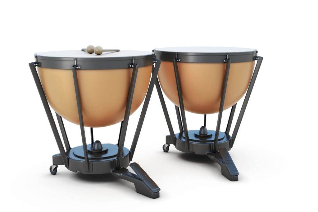 instrument-Timbal-description