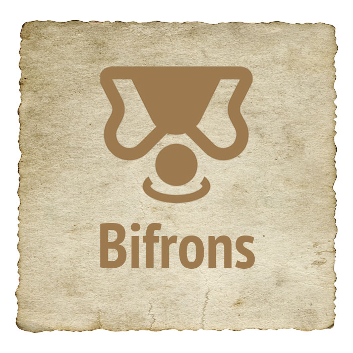 bifrons