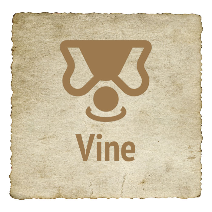 vine